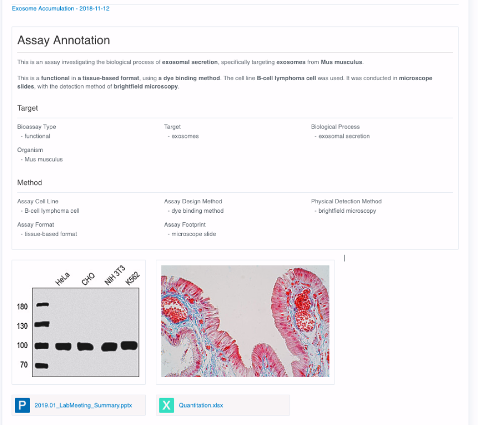 screenshot of CDD Vault
